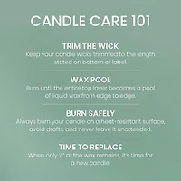Canyon Pine Original Large Jar Candle