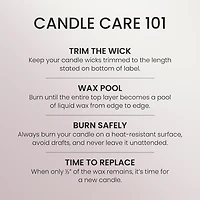 Driftwood Rose 3-Wick Candle