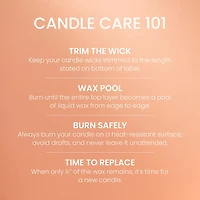Peaches & Peonies Small Tumbler Candle