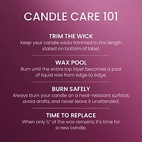 Sparkling Pinkberry 3-Wick Candle