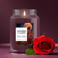 MidSummer's Night® Bloom Original Large Jar Candle