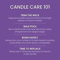 Amethyst Moon Original Large Jar Candle