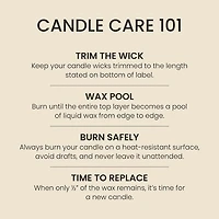 Vanilla Venom 3-Wick Candle