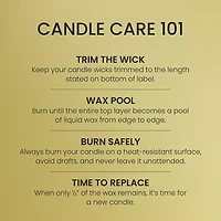Sicilian Lemon Mini Candle