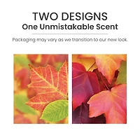 Autumn Leaves® Concentrated Room Spray