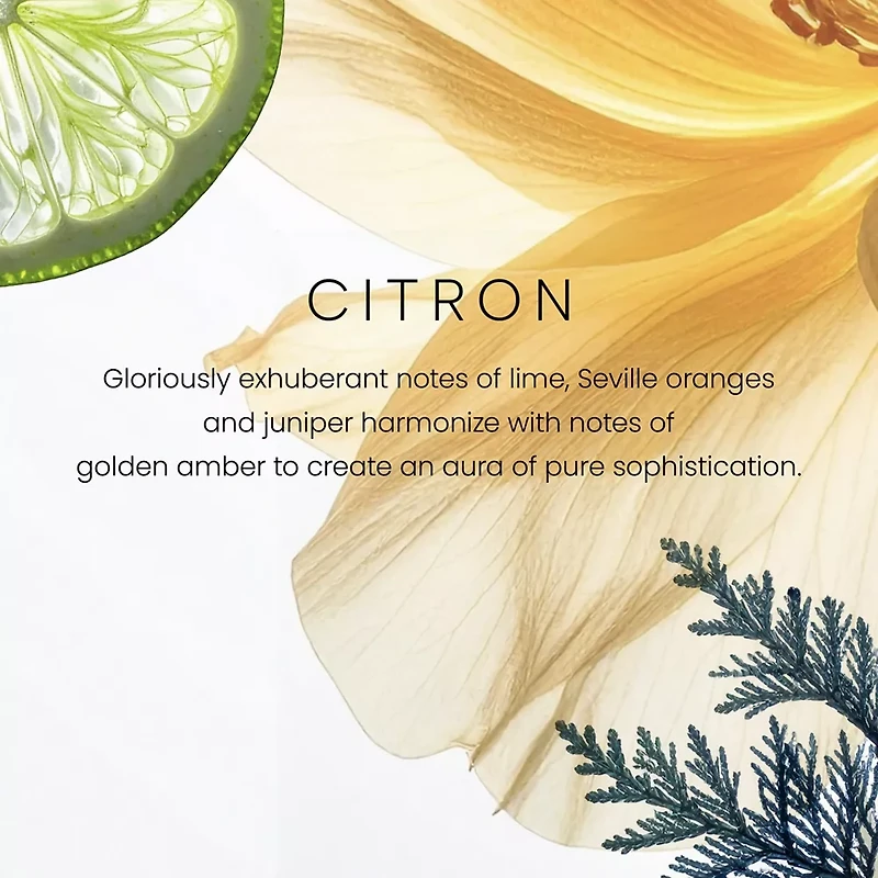 Citron Premium Single-Wick 7oz Candle