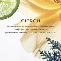Citron Premium Single-Wick 7oz Candle