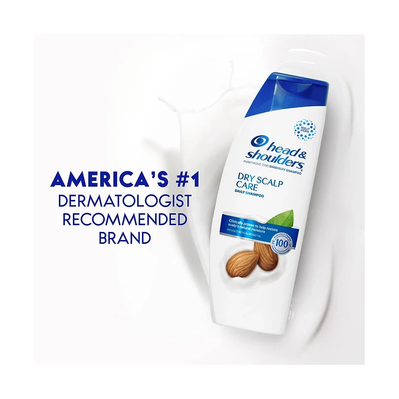 Head & Shoulders Dry Scalp Care Dandruff Shampoo, 12.5 fl oz
