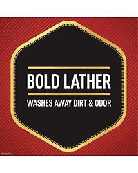 Old Spice Swagger Scent of Confidence, Body Wash for Men, 16 fl oz