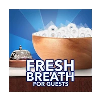 Life Savers Pep-O-Mint Breath Mints Hard Candy, 6.25 oz