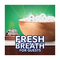 Life Savers Wint O Green Mint Candy Bag, 6.25 oz.