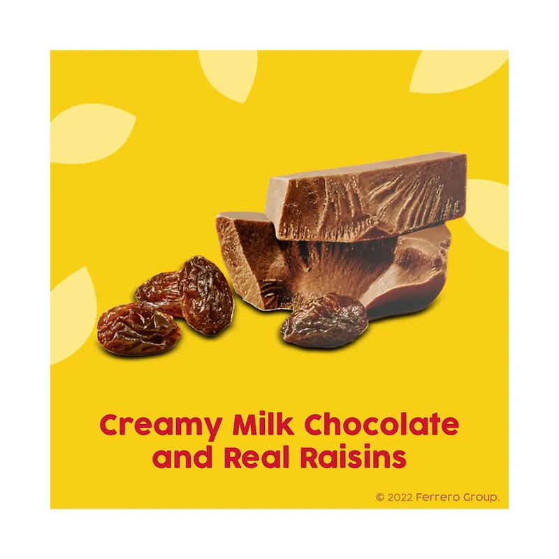 Raisinets Milk Chocolate Theater Box, 3.1 oz.