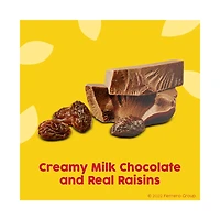 Raisinets Milk Chocolate Theater Box, 3.1 oz.