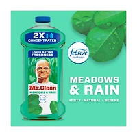 Mr. Clean 2X Concentrated Multi Purpose Liquid Cleaner, Meadows & Rain Scent, 23 oz