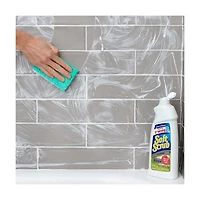 Soft Scrub Antibacterial Cleanser with Bleach, 24 fl oz