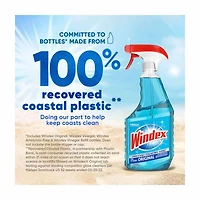 Windex Glass Cleaner, Original Blue, Spray Bottle, 23 fl oz