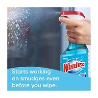 Windex Glass Cleaner, Original Blue, Spray Bottle, 23 fl oz
