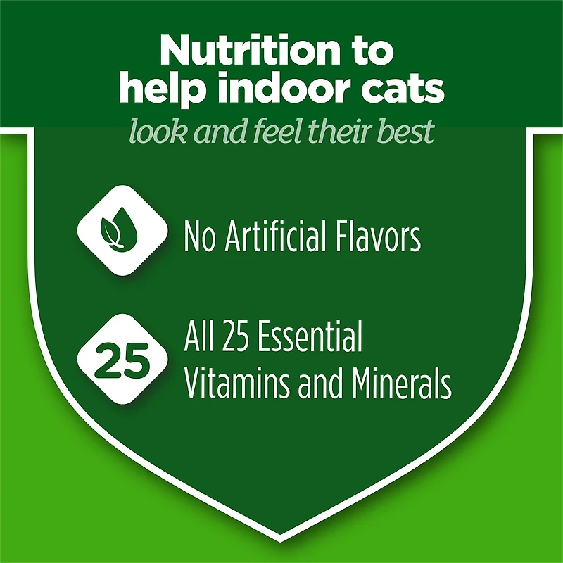 Purina Cat Chow Indoor Dry Cat Food, Hairball + Healthy Weight