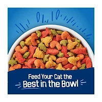 Purina Friskies Dry Cat Food Seafood Sensations With Salmon, Tuna, and Shrimp Flavors