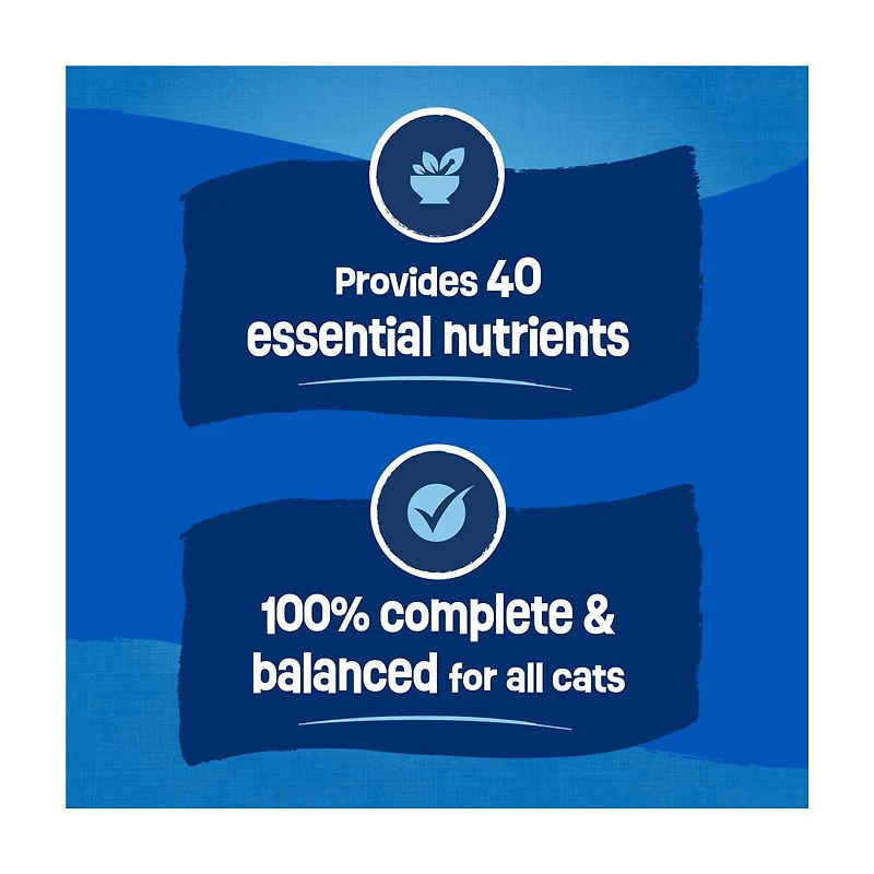 Purina Friskies Dry Cat Food Seafood Sensations With Salmon, Tuna, and Shrimp Flavors