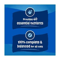 Purina Friskies Dry Cat Food Seafood Sensations With Salmon, Tuna, and Shrimp Flavors