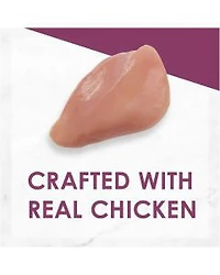 Purina Fancy Feast Grilled Chicken Feast in Gravy, 3 oz