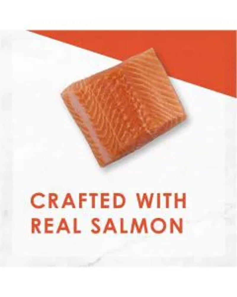 Purina Fancy Feast Salmon Feast Classic Paté Wet Cat Food, 3 oz