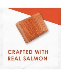 Purina Fancy Feast Salmon Feast Classic Paté Wet Cat Food, 3 oz