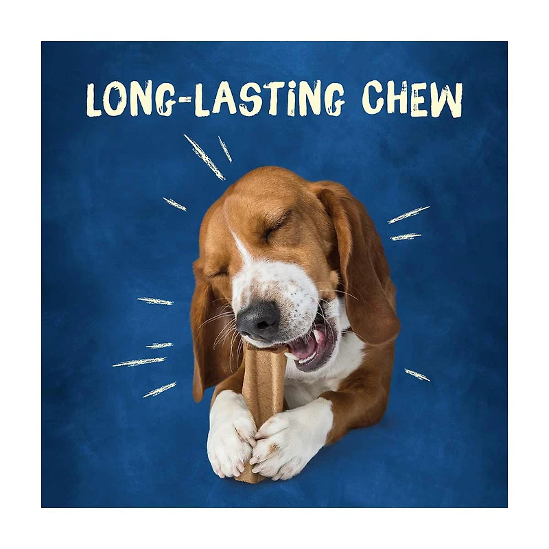 Purina Busy Bone Long Lasting Dog Treats, 7 oz, 2 ct