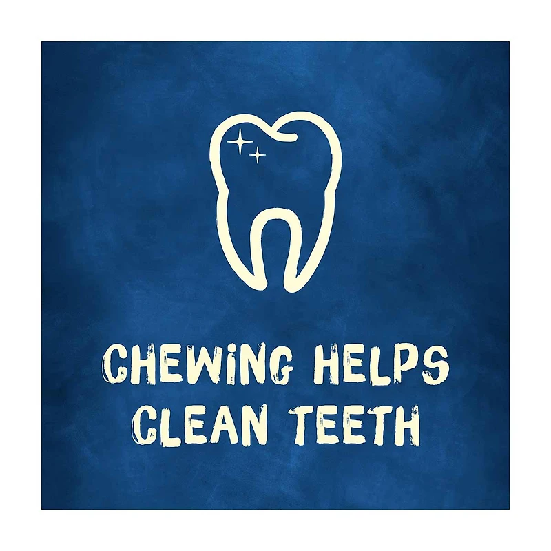 Purina Busy Bone Long Lasting Dog Treats, 7 oz, 2 ct