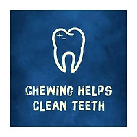 Purina Busy Bone Long Lasting Dog Treats, 7 oz, 2 ct