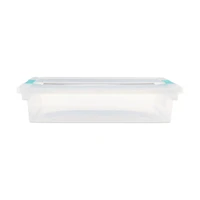 Clear Storage Box with Latched Lid, Large
