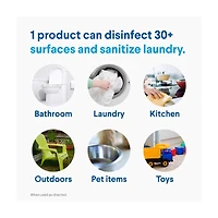 Clorox Disinfecting Bleach, Concentrated Formula, Regular, 43 fl oz