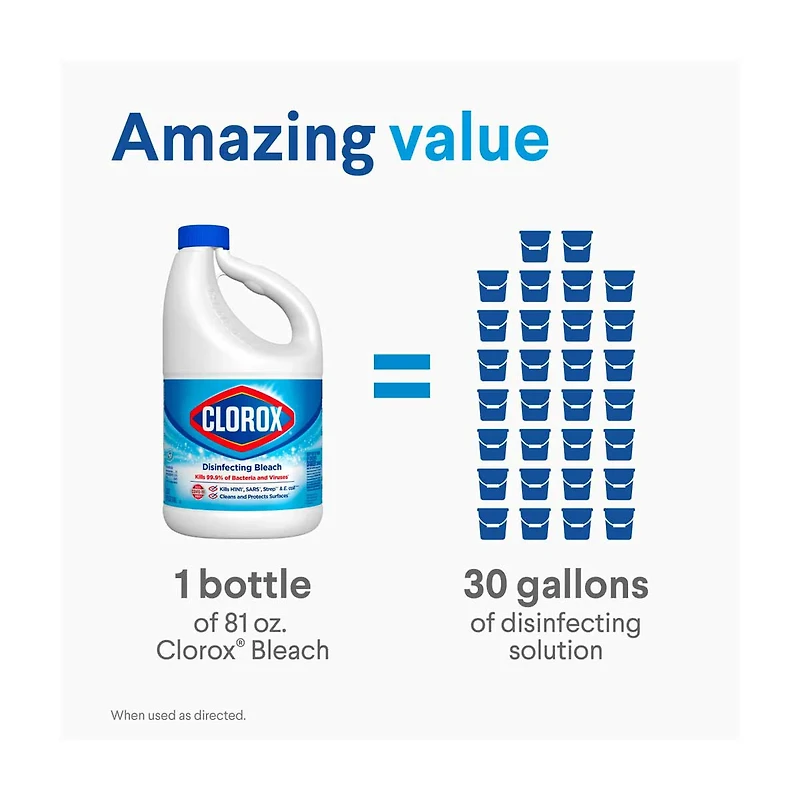Clorox Disinfecting Bleach, 81 fl oz