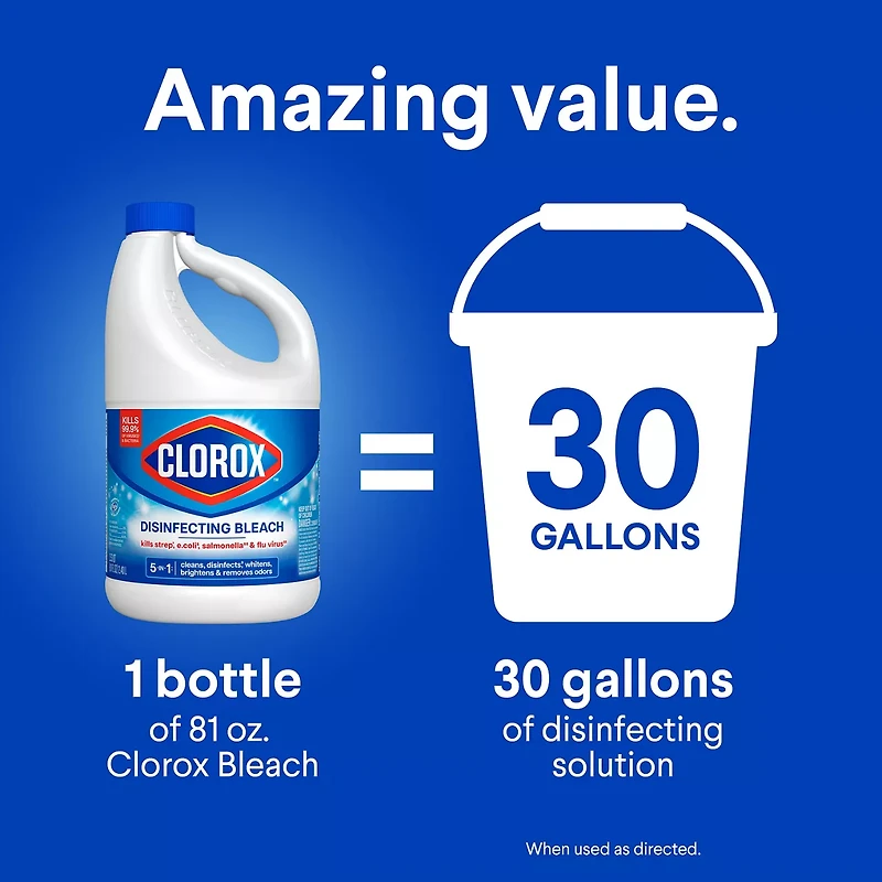 Clorox Disinfecting Bleach, 81 fl oz