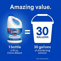 Clorox Disinfecting Bleach, 81 fl oz