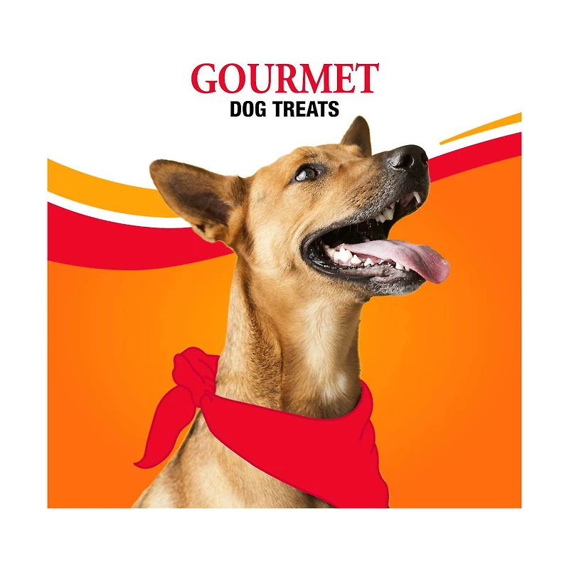 Good 'n' Fun Triple Flavor Kabobs Dog Treats, 4 oz
