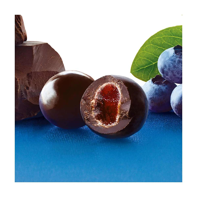 Brookside Dark Chocolate Acai & Blueberry Flavor Pouch, 7 oz.