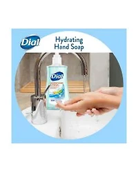 Dial Hand Soap, Coconut Water and Mango