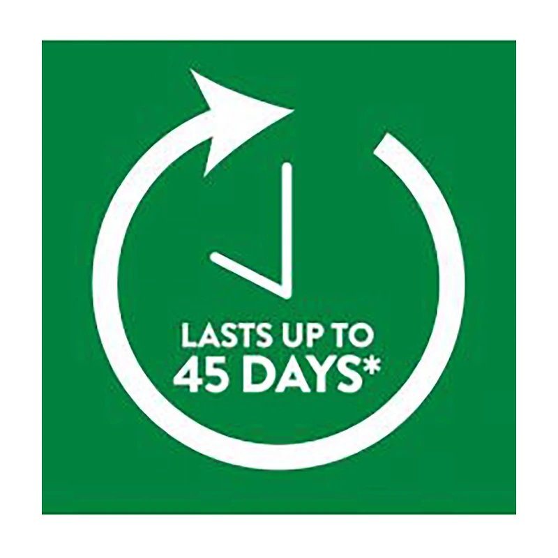 Air Wick Life Scents - Turquoise Oasis, 2 ct