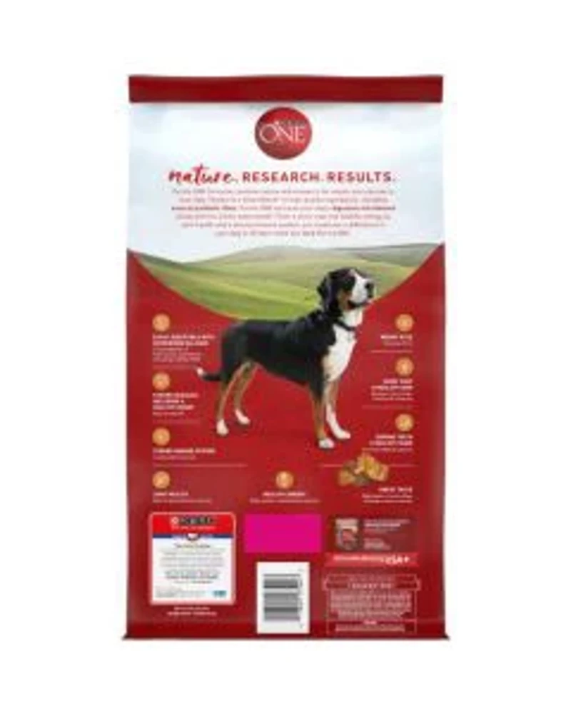 Purina ONE SmartBlend Natural Chicken & Rice Formula Adult Dry Dog Food, 3 lb Bag