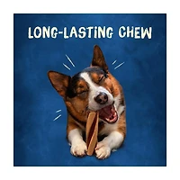 Purina Busy with Beggin Twist'd Dog Treats, 2 ct