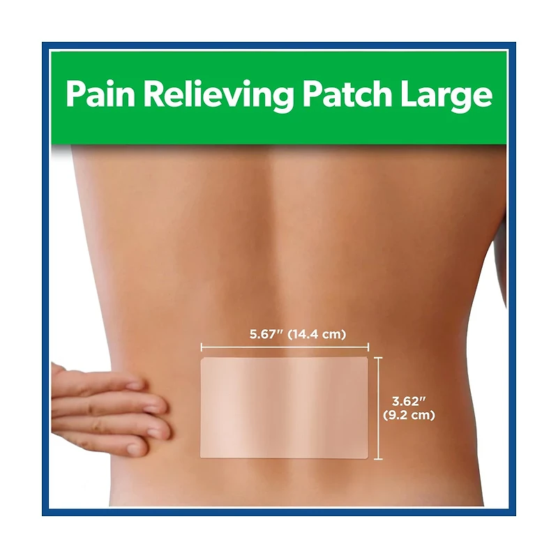 Salonpas Pain Relieving Patch, Large, 6 ct