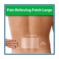 Salonpas Pain Relieving Patch, Large, 6 ct