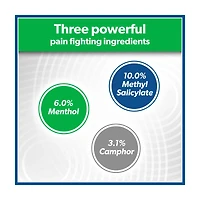 Salonpas Pain Relieving Patch, Large, 6 ct