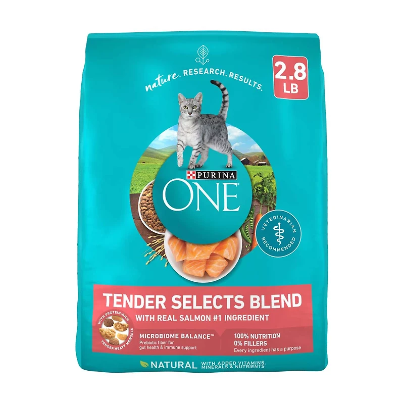Purina ONE Natural Dry Cat Food, Tender Selects Blend With Real Salmon