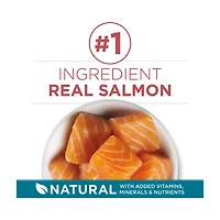 Purina ONE Natural Dry Cat Food, Tender Selects Blend With Real Salmon