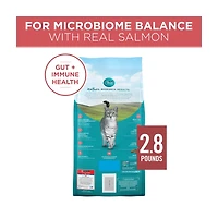 Purina ONE Natural Dry Cat Food, Tender Selects Blend With Real Salmon