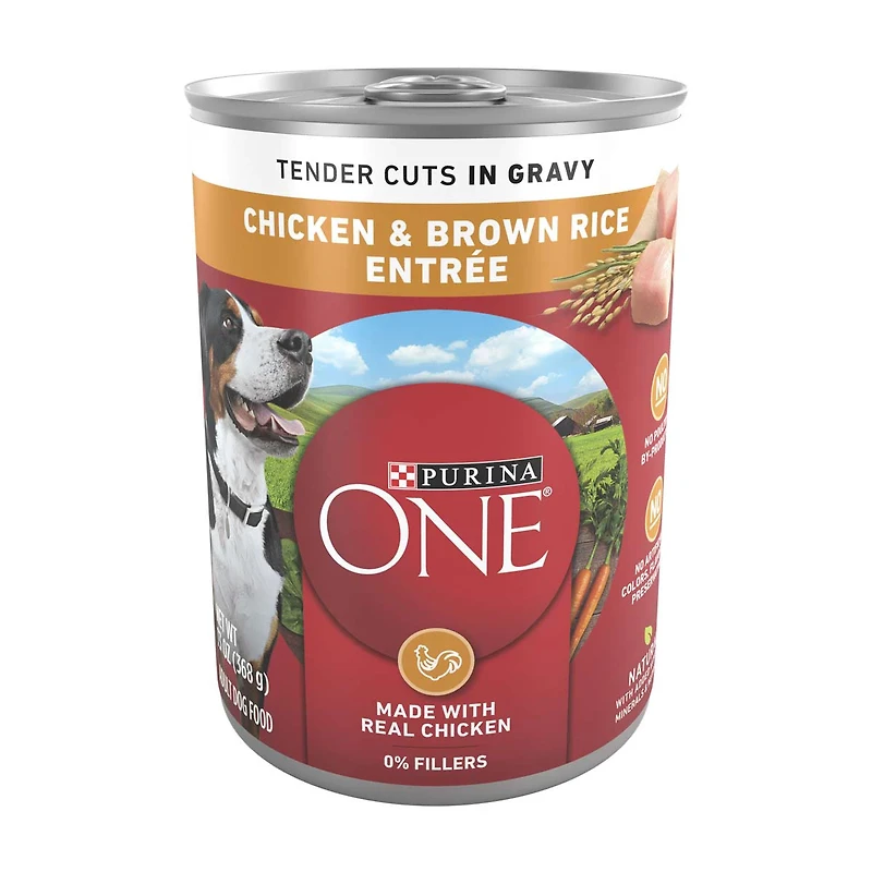 Purina ONE Tender Cuts in Wet Dog Food Gravy Chicken and Brown Rice Entree, 13 oz