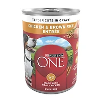 Purina ONE Tender Cuts in Wet Dog Food Gravy Chicken and Brown Rice Entree, 13 oz